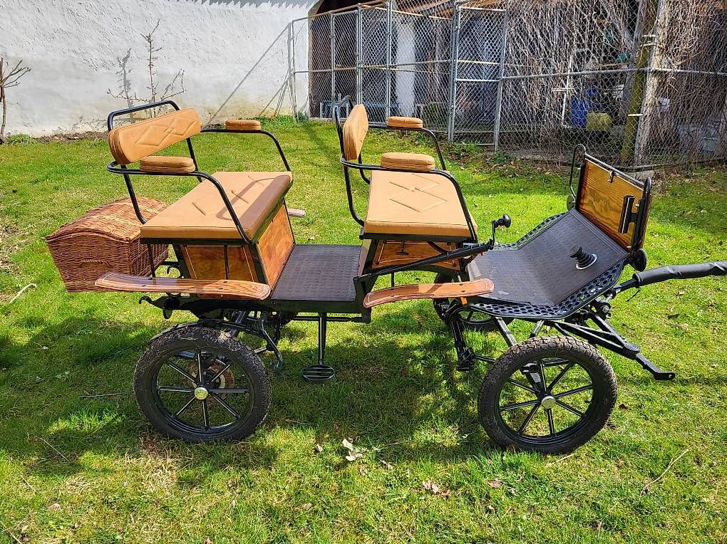 Carrozze: Neuwertige Kutsche Jagdwagen Pony oder Esel – Usato da Rickenbach SZ venduto da Thwe100 1