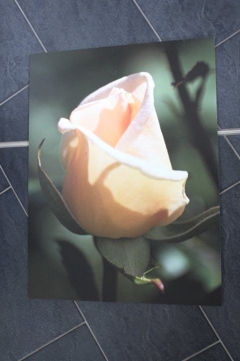 Foto & Immagini: Aluplatte 60 x 80 cm – Nuovo (secondo la descrizione) da Eschenbach SG venduto da Anisti13