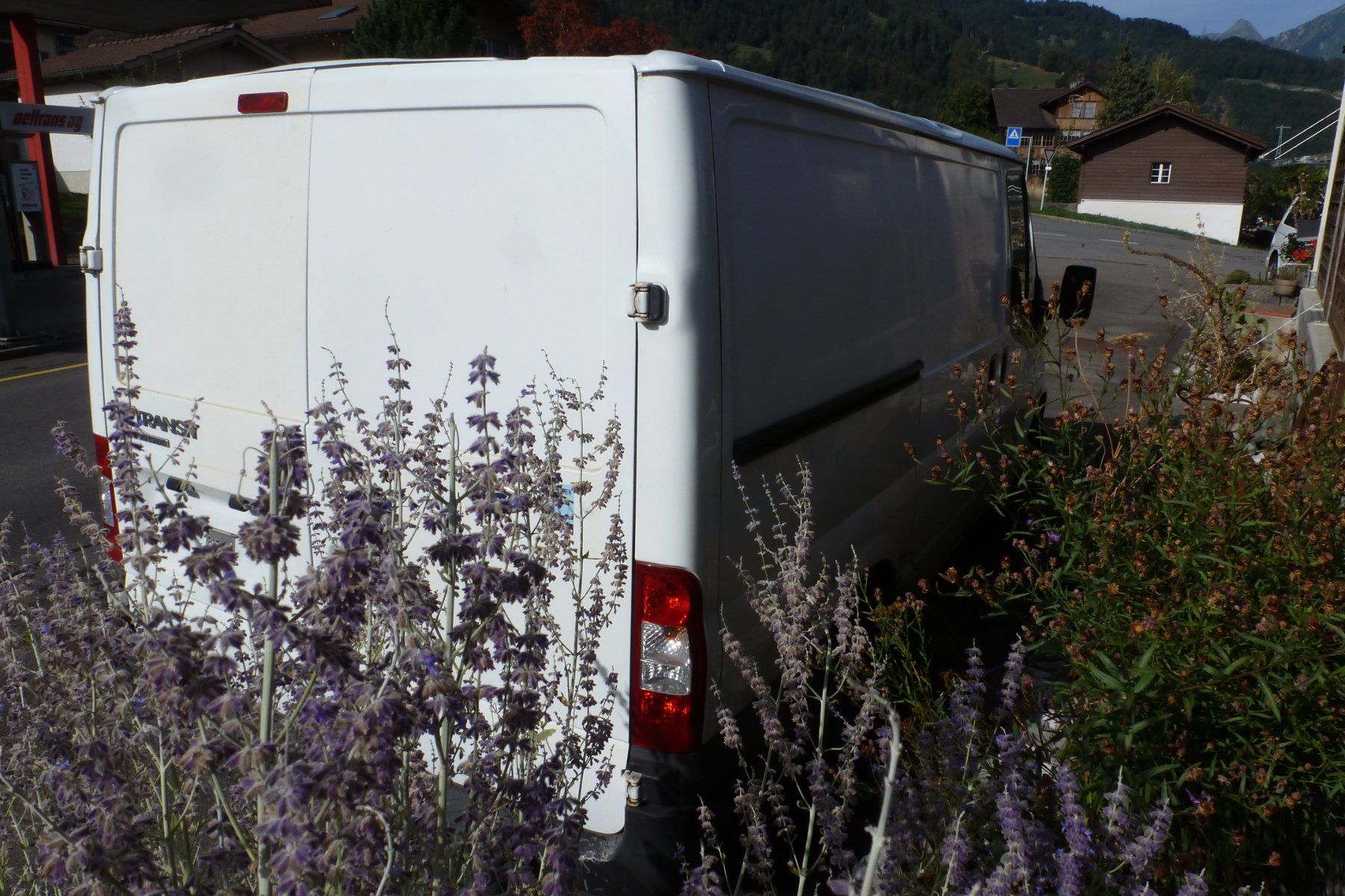 Ford Veicoli commerciali: Ford Transit mit Motorschaden – Difettoso da Leissigen venduto da ChUe06 2