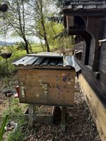 Bienenkugel Bienenstock Set mit Zubehör gebrauchter Zustand