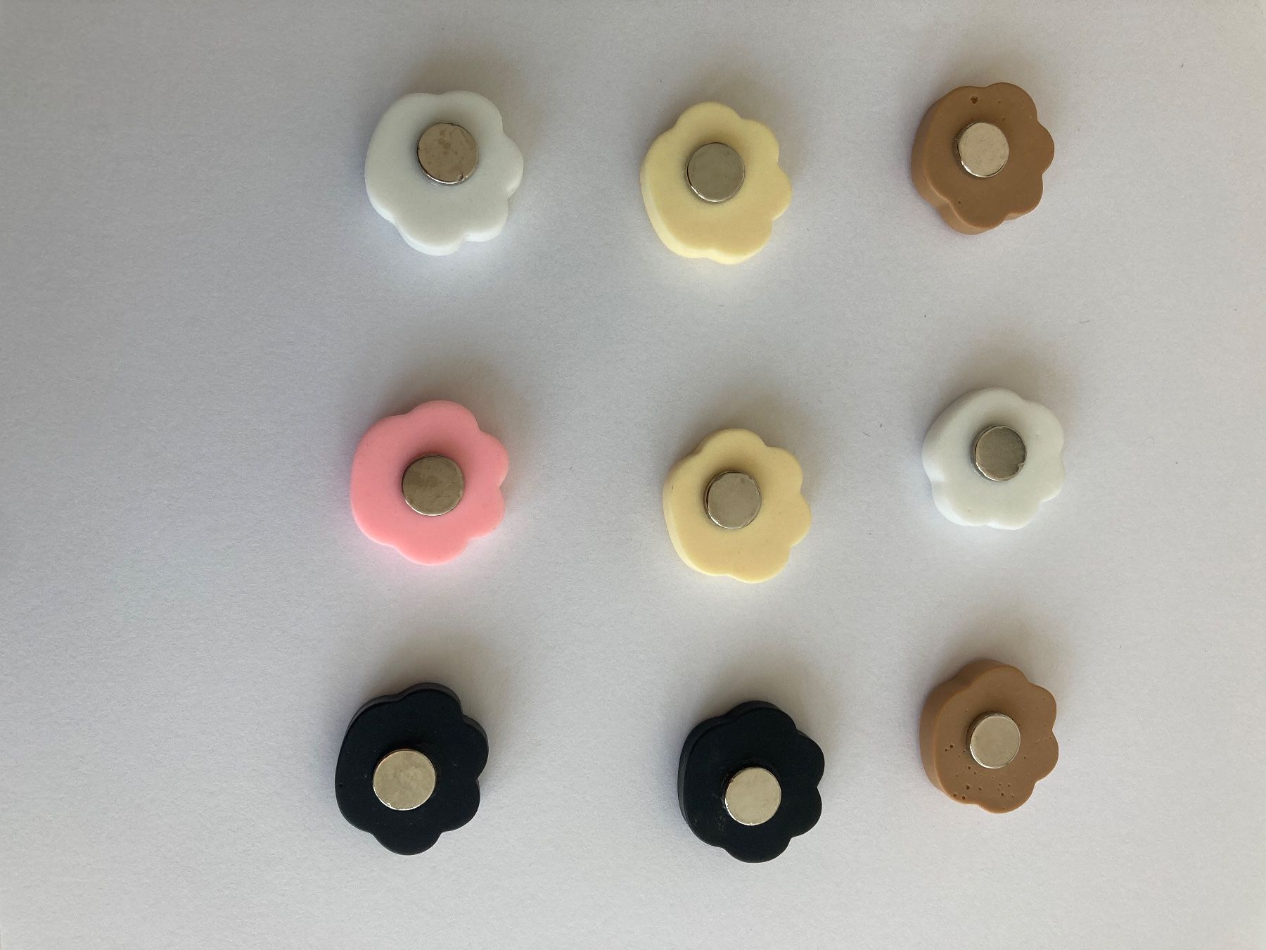 Calamite: 9 Stk. Magnete Pfotenabdruck – Usato da Bern venduto da yla_88nl 1