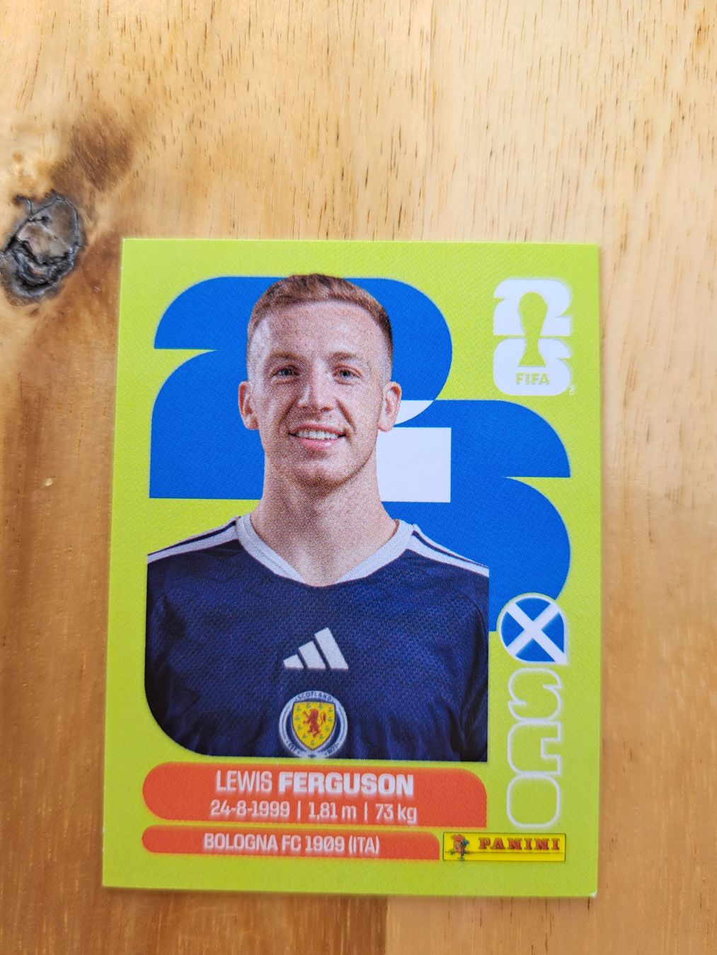 Panini Sammelbilder & Trading cards: Panini FIFA World Cup SCO 14 – Neu (gemäss Beschreibung) aus Waldenburg von Sysilu