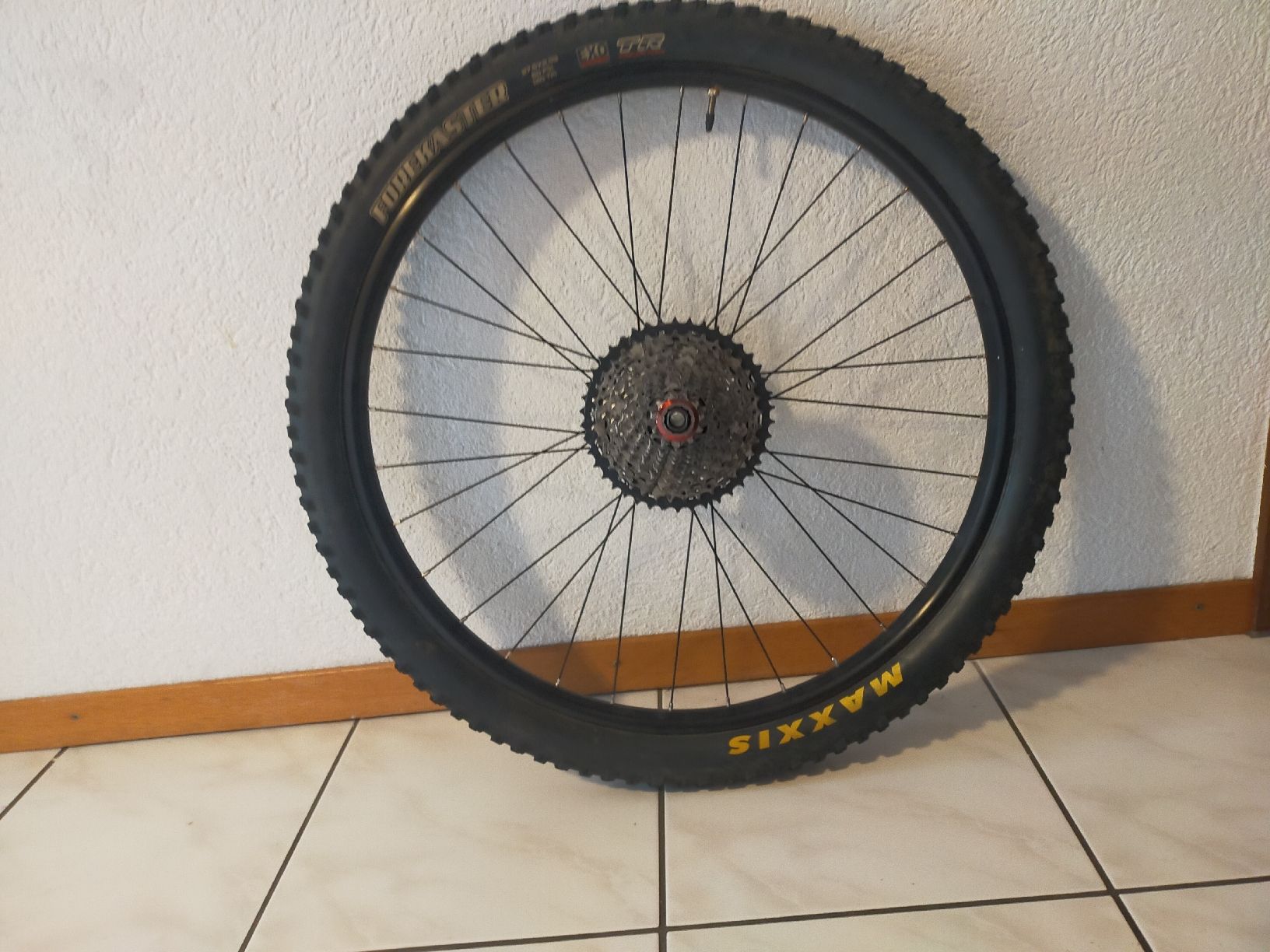Pneumatici & Ruote complete: Hinterrad Downhill. EB152mm – Usato da Richenthal venduto da DonTom69 4