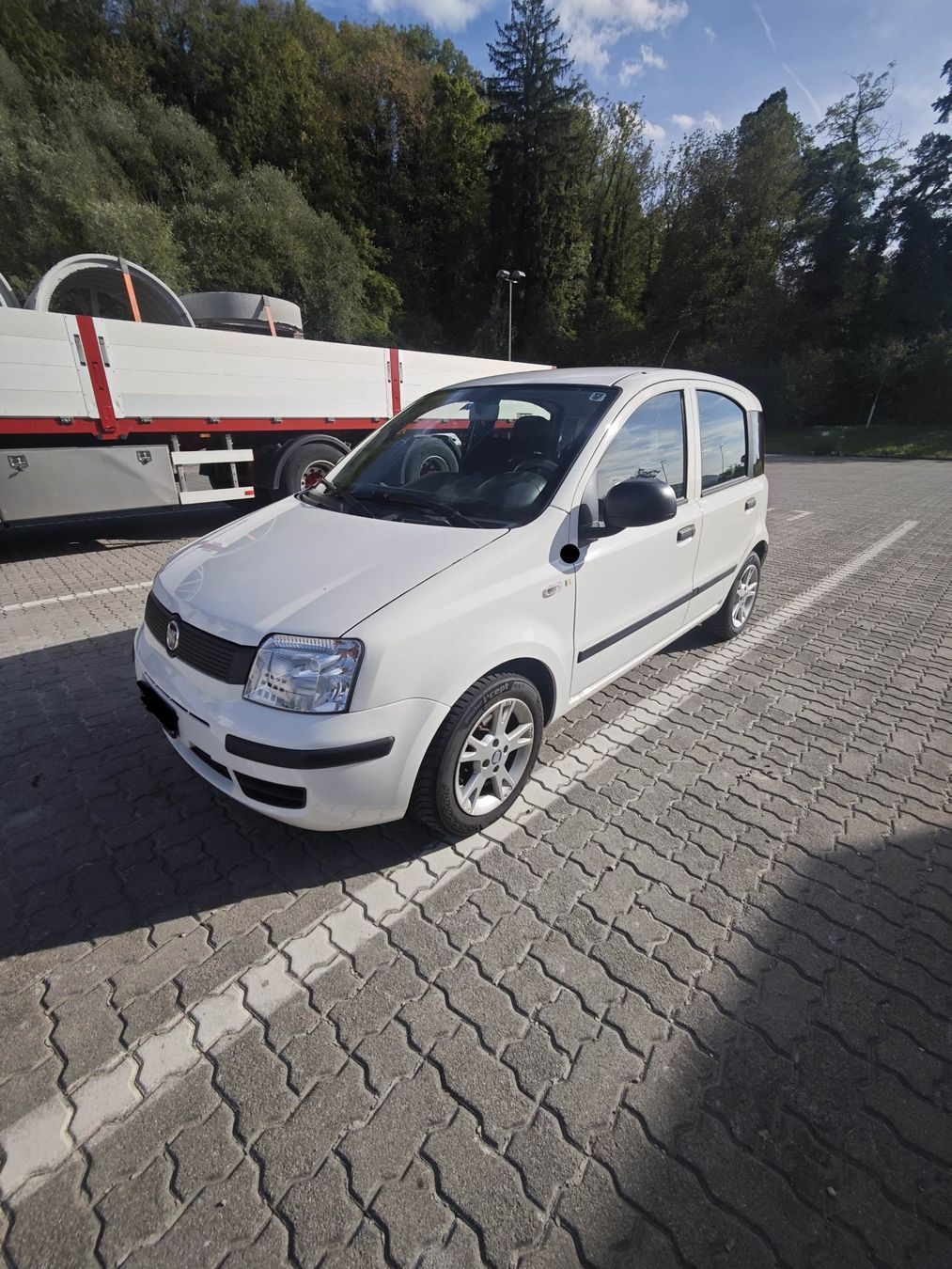 Fiat Automobili: Fiat Panda 1.2 – Usato da Busswil BE venduto da pasquale80 2