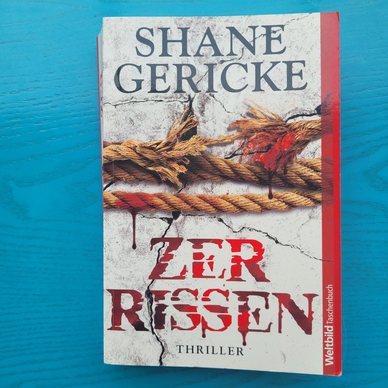 Bücher: Shane Gericke- Zerrissen – Neu (gemäss Beschreibung) aus SCHÜBELBACH von CoKaHa
