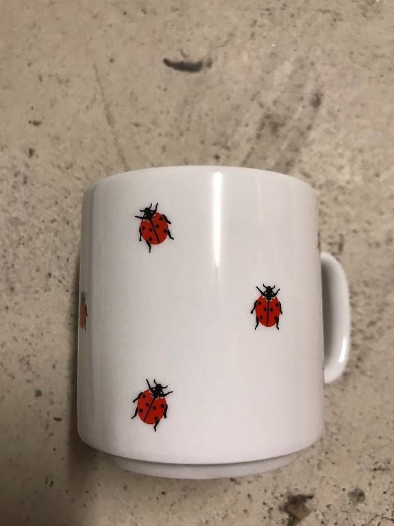 Set di piatti: Geschirr KÄFER München 12 Teile – Usato da Basel venduto da Princeton-seller 1