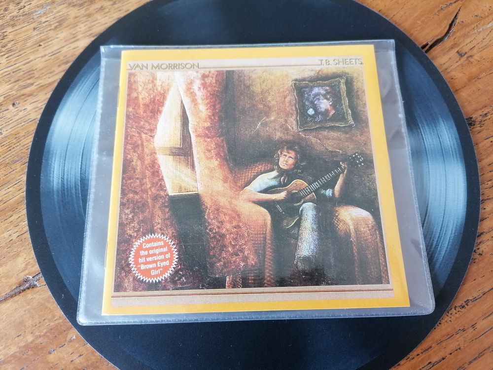 米盤プロモ見開ジャケVan Morrison／T.B.Sheets(Themゼム 洋楽