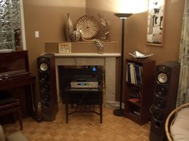 Enceintes Paradigm Reference Studio 100 v4 (Rosenut)