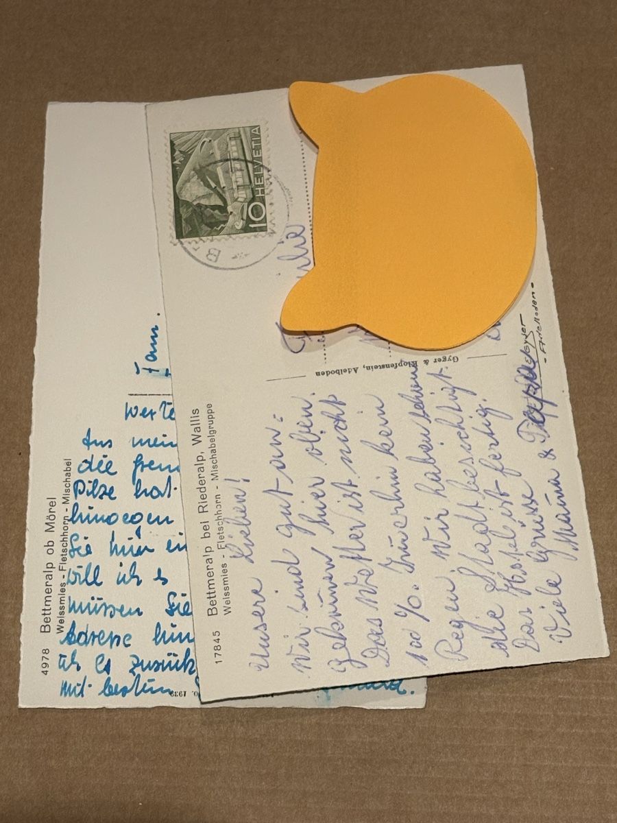 Cartoline postali: 2 AK von Bettmeralp – Usato da Rümlang venduto da Kartenpost1 1