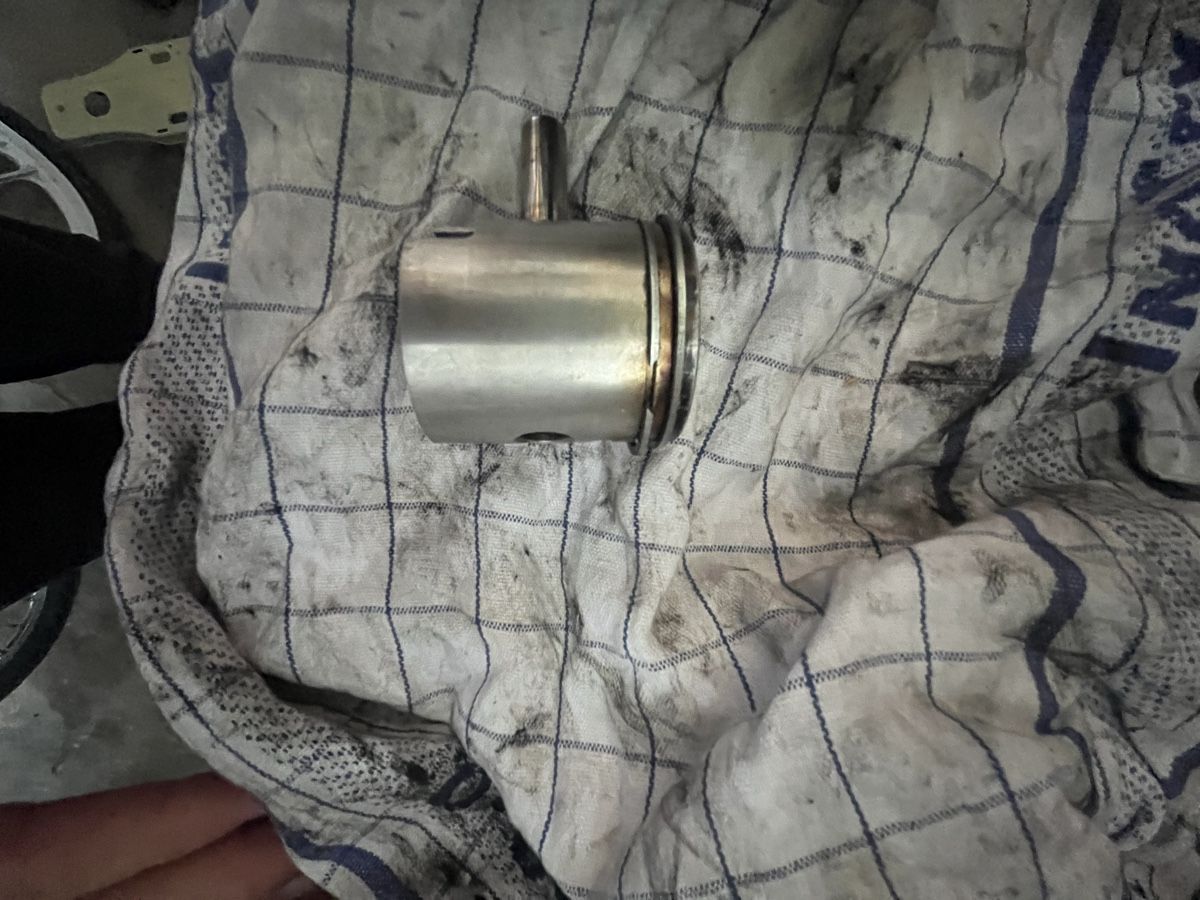 Piaggio Parti ricambio per ciclomotori: Zylinder Piaggio 63ccm – Usato da Reichenbach venduto da Mo07mutschli 4