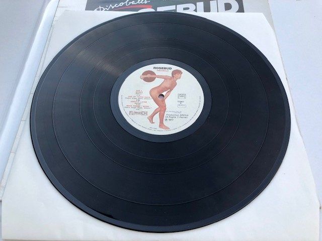 Dischi in vinile: Pink Floyd Tribut Cover Band – Usato da Aarwangen venduto da Jukebox3 6