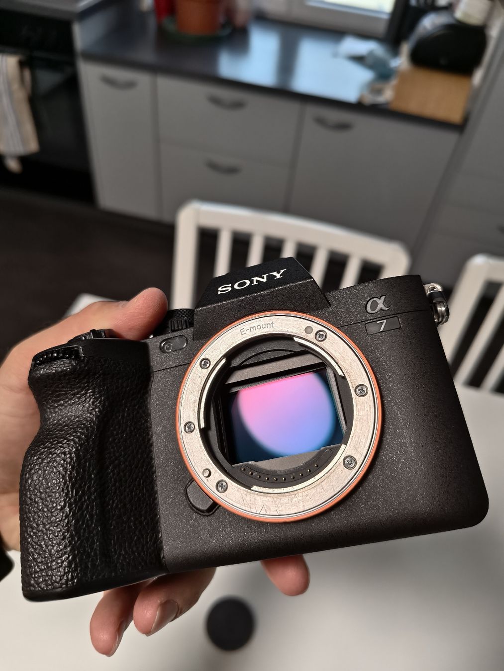 Sony Kamera: Sony A7 IV excellent état – Gebraucht aus Tramelan von Gamoo 2