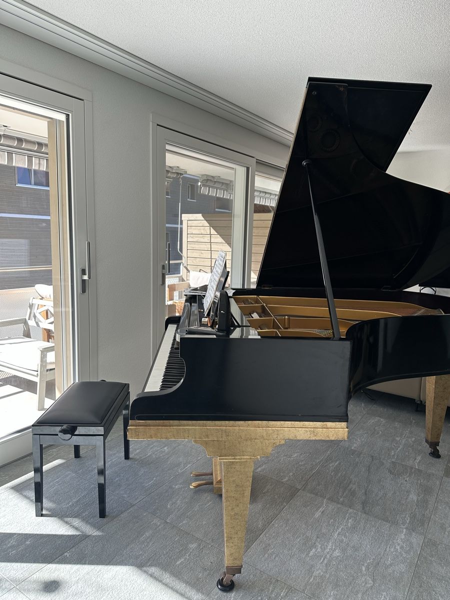 Strumenti musicali: C Bechstein Flügel 1,60m  – Usato da Kandergrund venduto da eva_92rg 5