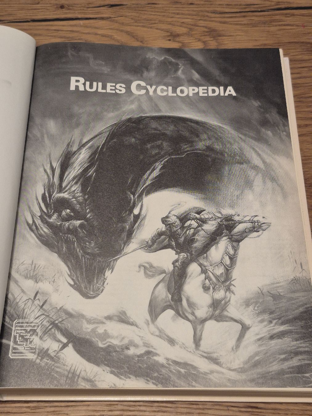 Bücher: Dungeons & Dragons RULES CYCLOPEDIA Handbuch Guide TS 1991 – Gebraucht aus Oberembrach von giu_7ksd 6