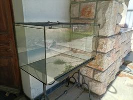 Terrarium 100 x 50 x 50