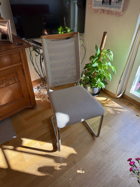 Venjakob SCHWINGSTUHL Gebraucht In Z rich F r CHF 400 Nur Abholung 
