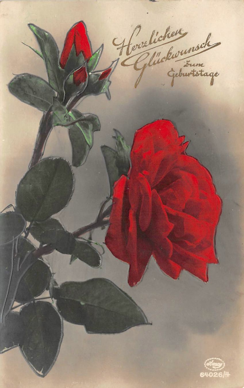 Cartoline postali: Geburtstag, rote Rosen – Usato da Ottikon b.Kemptth. venduto da Neptun1974