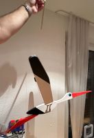 Storch