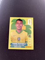 Panini BRA 18