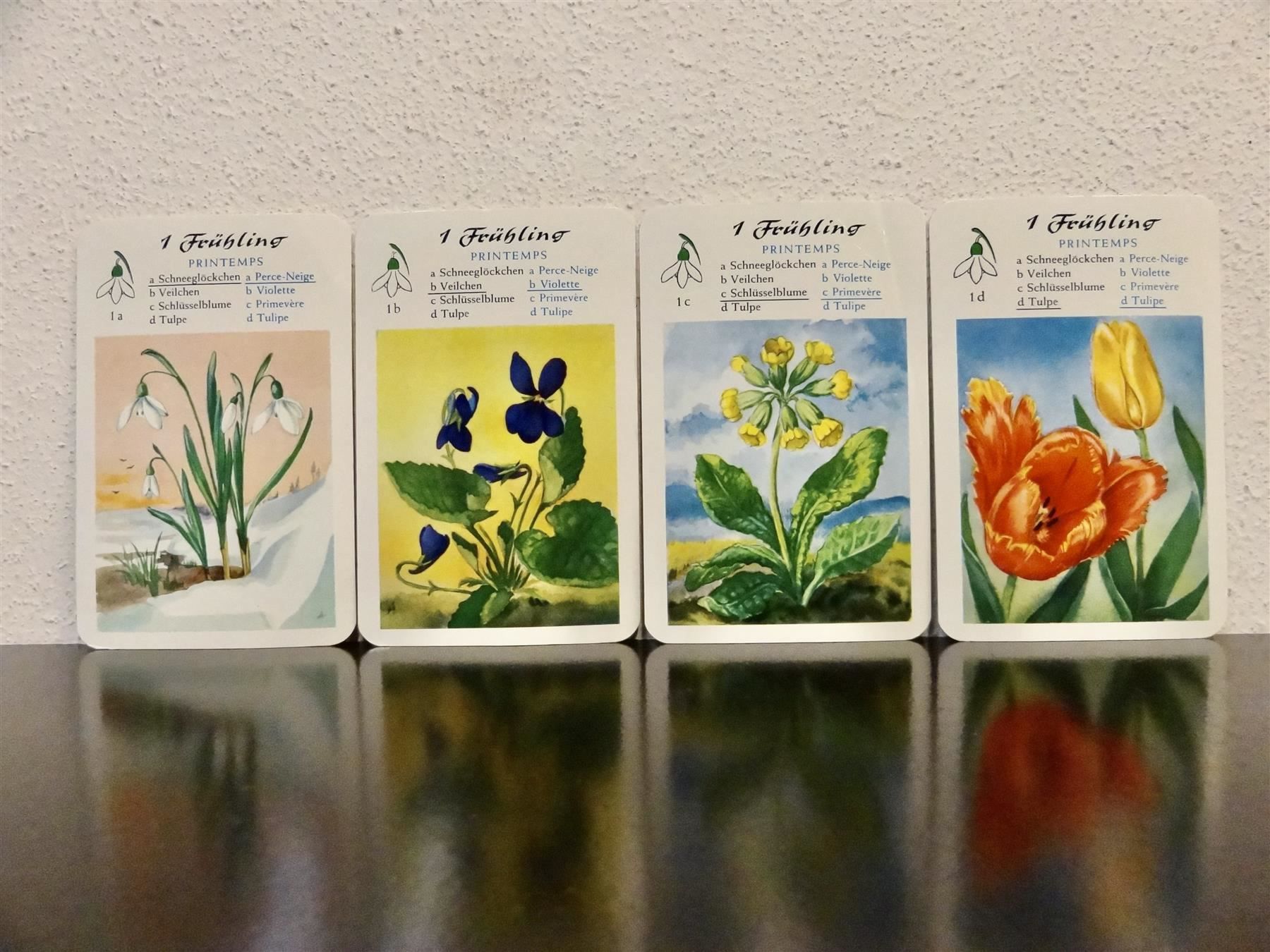 Spiele: altes Quartett BLUMEN-QUARTETT BLUMEN – Gebraucht aus Kerzers von wisaundso 3