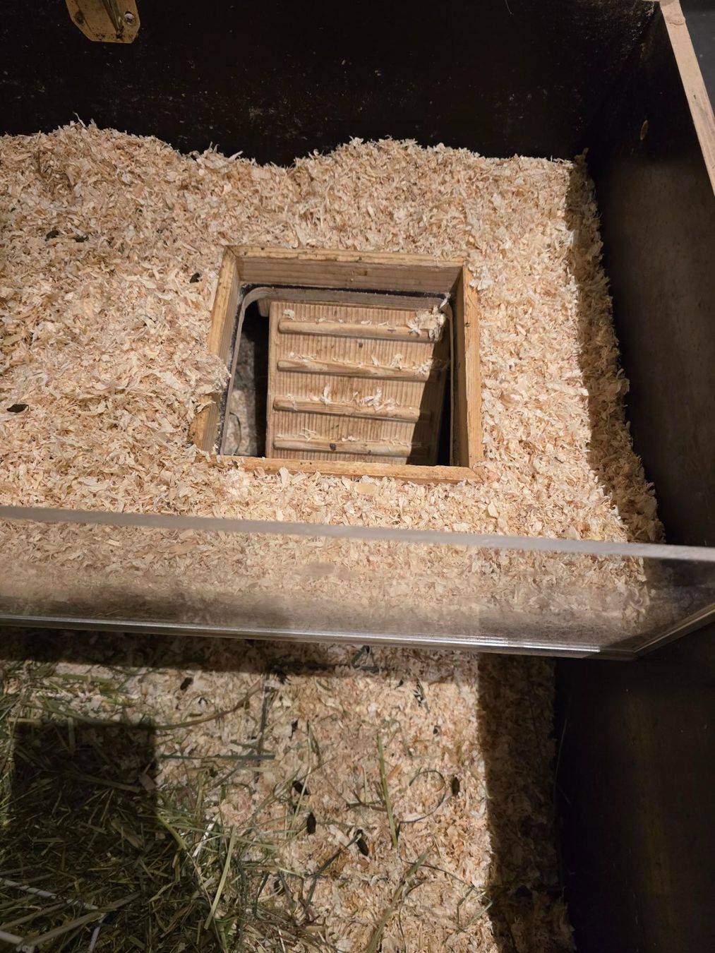 Gabbie, trasporto & Sicurezza: Meerschweinchenkäfig – Usato da Schaffhausen venduto da mnovikov 2