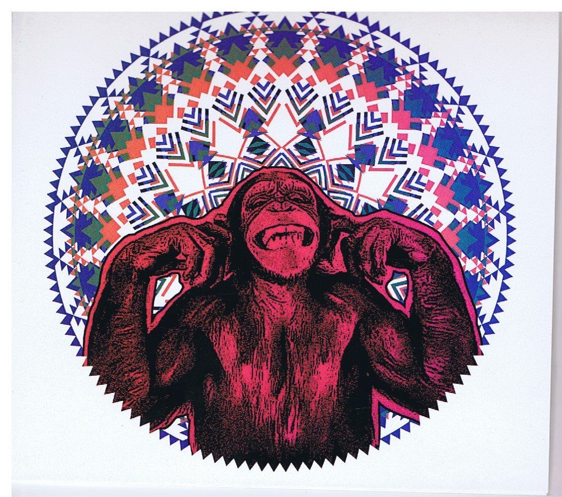CD: Stg. Monkey / Loco Loco – Usato da Unterengstringen venduto da Lastchance 2