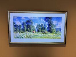 LG OLED TV