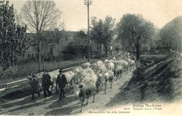 Vaud   VD  -   Départ pour l'Alpe  /  Scénes Vaudoises