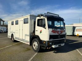 Mercedes Benz 1317 Wohnmobil