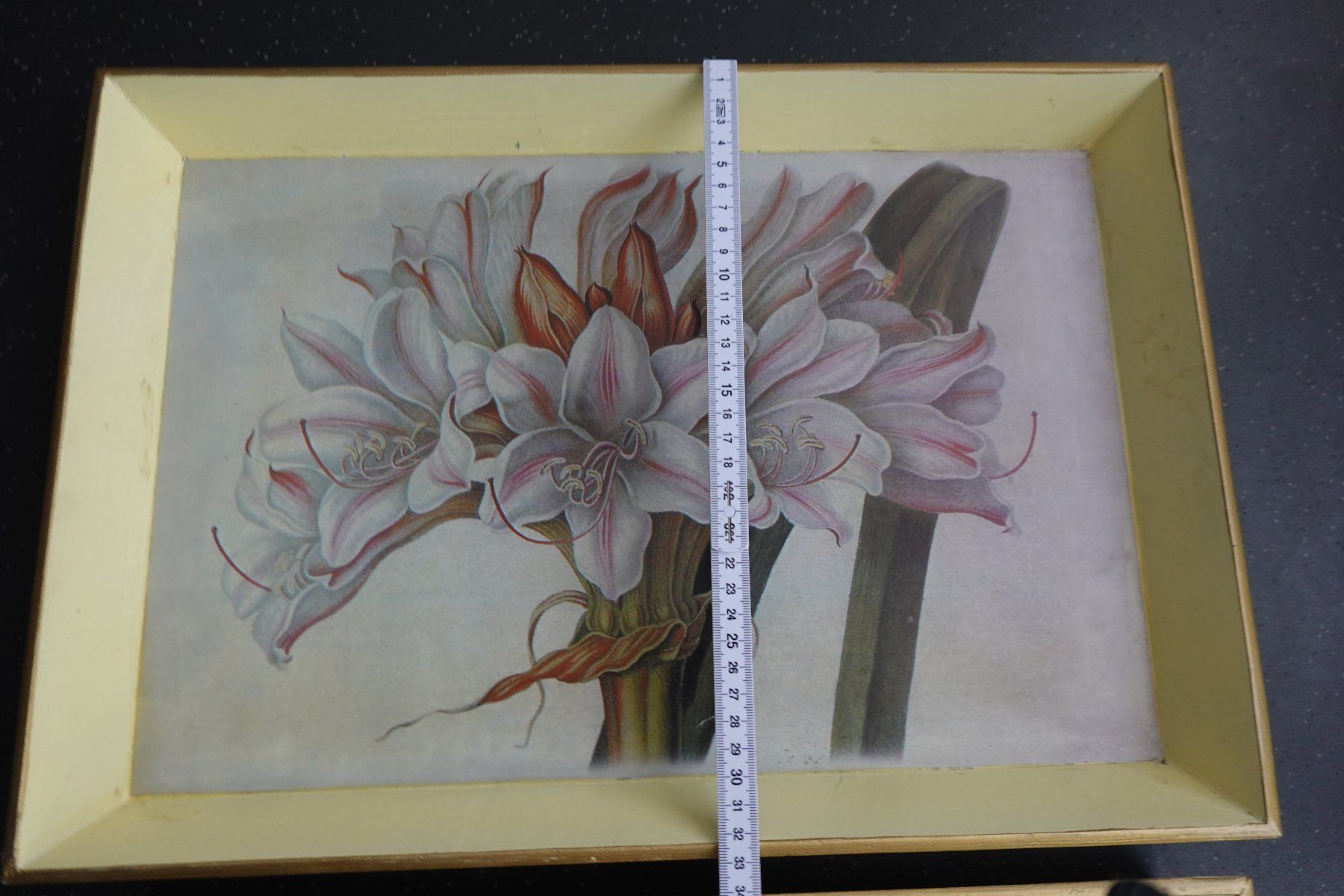 Servierplatten: 2x Tablett Serviertablett mit Blume Amaryllis NEU – Neu (gemäss Beschreibung) aus Jona von simongarden 3