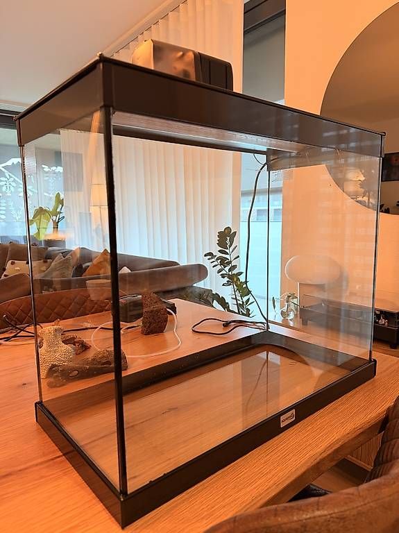 Tutte le decorazioni: Aquarium complet – Usato da Bulle venduto da vmarquesn