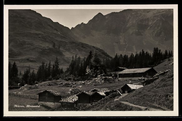 Cartes postales: AK Mürren, Blumemtal – D'occasion à Berlin par bartko-reher