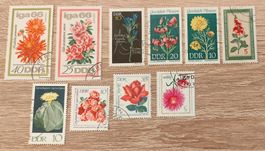 10 ostdeutsche Blumenbriefmarken timbres Fleur DDR francobol