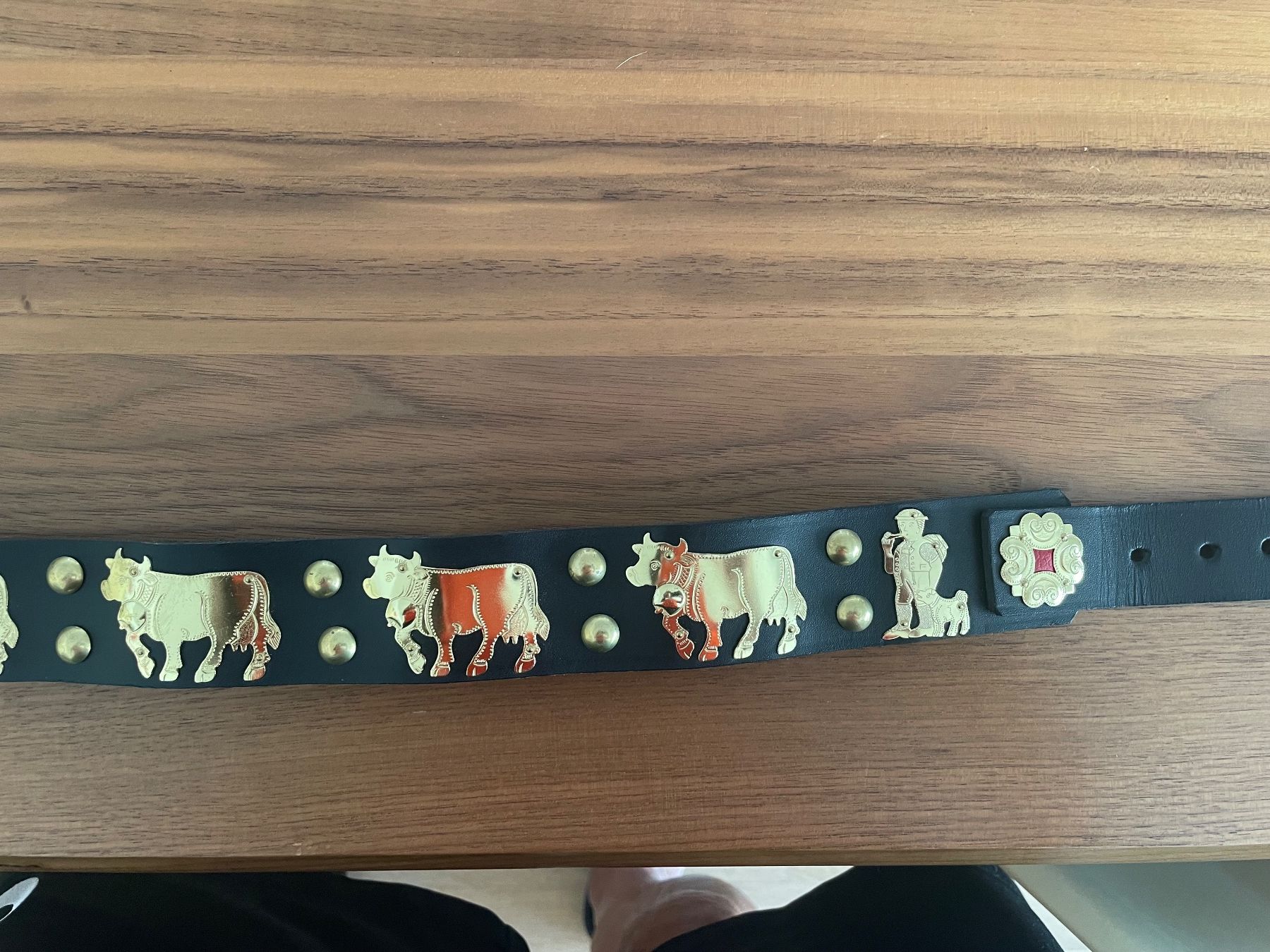 Nastri decorativi: Echtes Appenzeller Hundehalsband – Usato da Pfäffikon ZH venduto da Carlo020 4