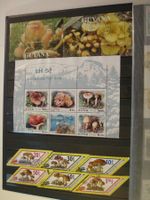 PILZE MUSHROOMS 470 MARKEN+BLOCKS VIEL POSTFRISCH, 20 SEITEN