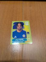 Panini CUW20
