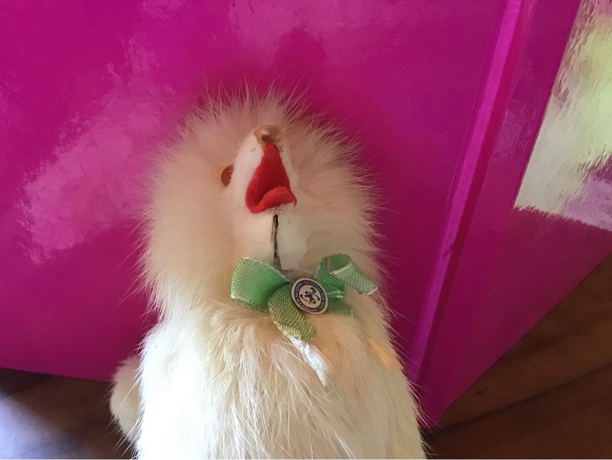 Giocattoli: Alter Echtfell Puppen Hund – Usato da St. Gallen venduto da Goldlilly 5