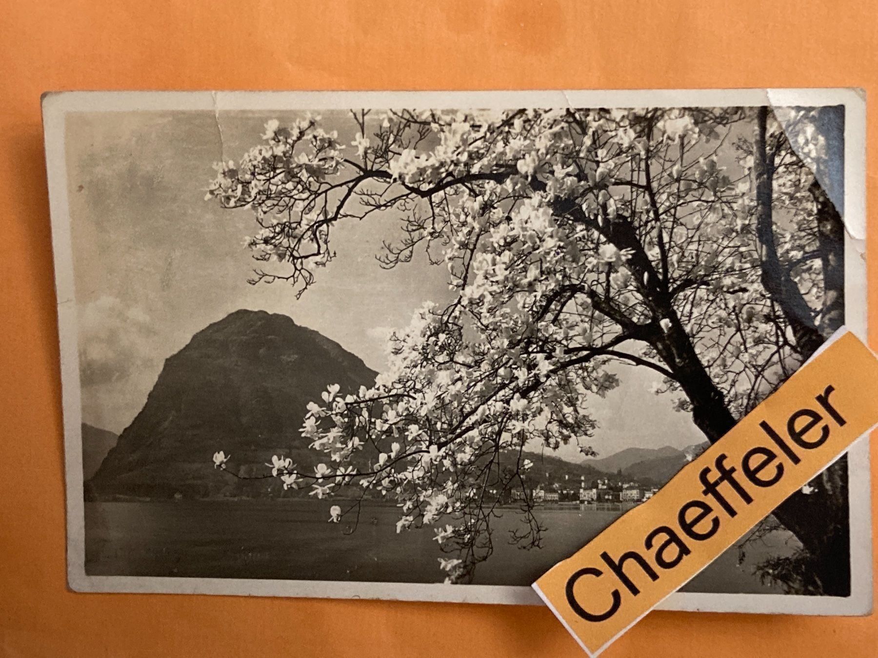 Cartoline postali: 1403 Lago du Lugano. 1941 – Difettoso da Zürich venduto da Chaeffeler