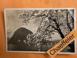 1403 Lago du Lugano. 1941