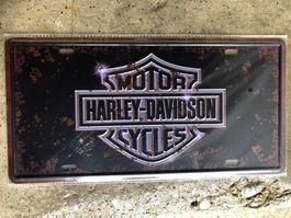 Motor Harley Davidson cycles v2 usa