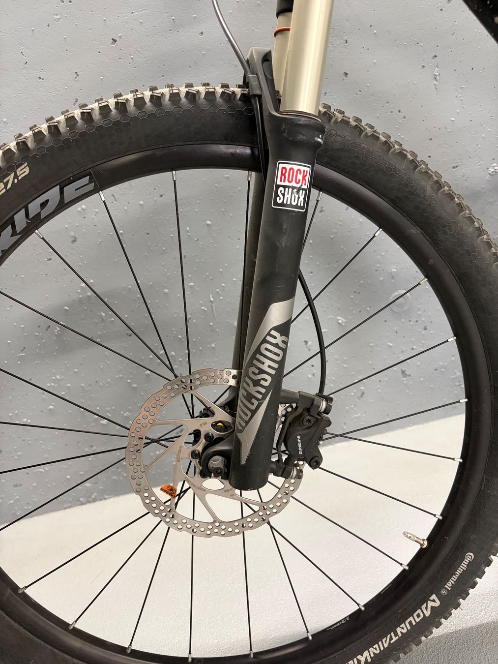 Canyon Biciclette: Canyon Nerve AL 7.0 (2017) – Usato da Altnau venduto da ste_9wxk 5
