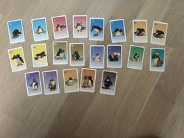 Pingu Karten Spiel nicht Vollständig- Sammlerobjekt