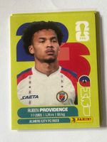 Panini WM 2026 Sticker - Providence HAI 17