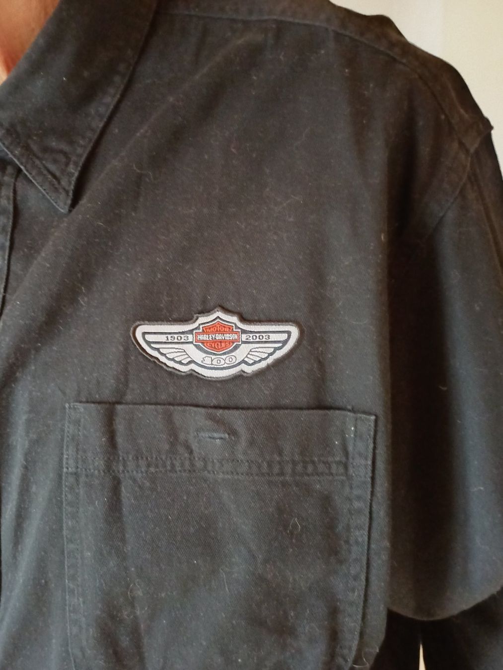 Harley-Davidson Camicie: HARLEY-DAVIDSON – Usato da Gumefens venduto da eripe 2