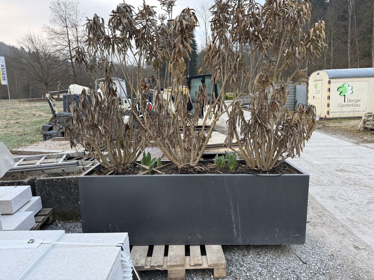 Vasi per fiori: Grosser Pflanztrog aus Alu – Usato da Willerzell venduto da manu.hofbaba 1