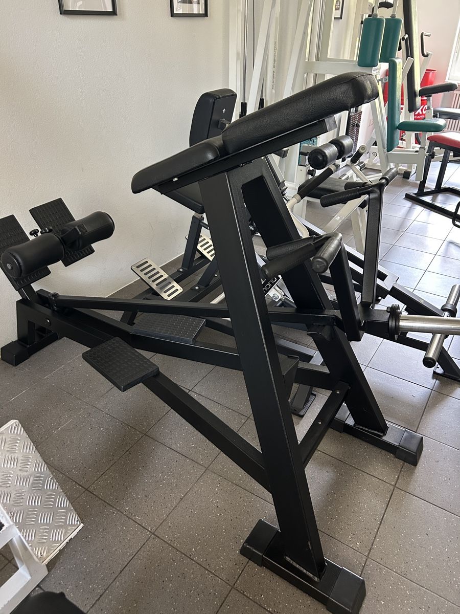Hometrainer: Tbar Row - Panatta Fit2000 – Usato da Locarno venduto da Berserkr96 3