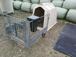 Kälberiglu
