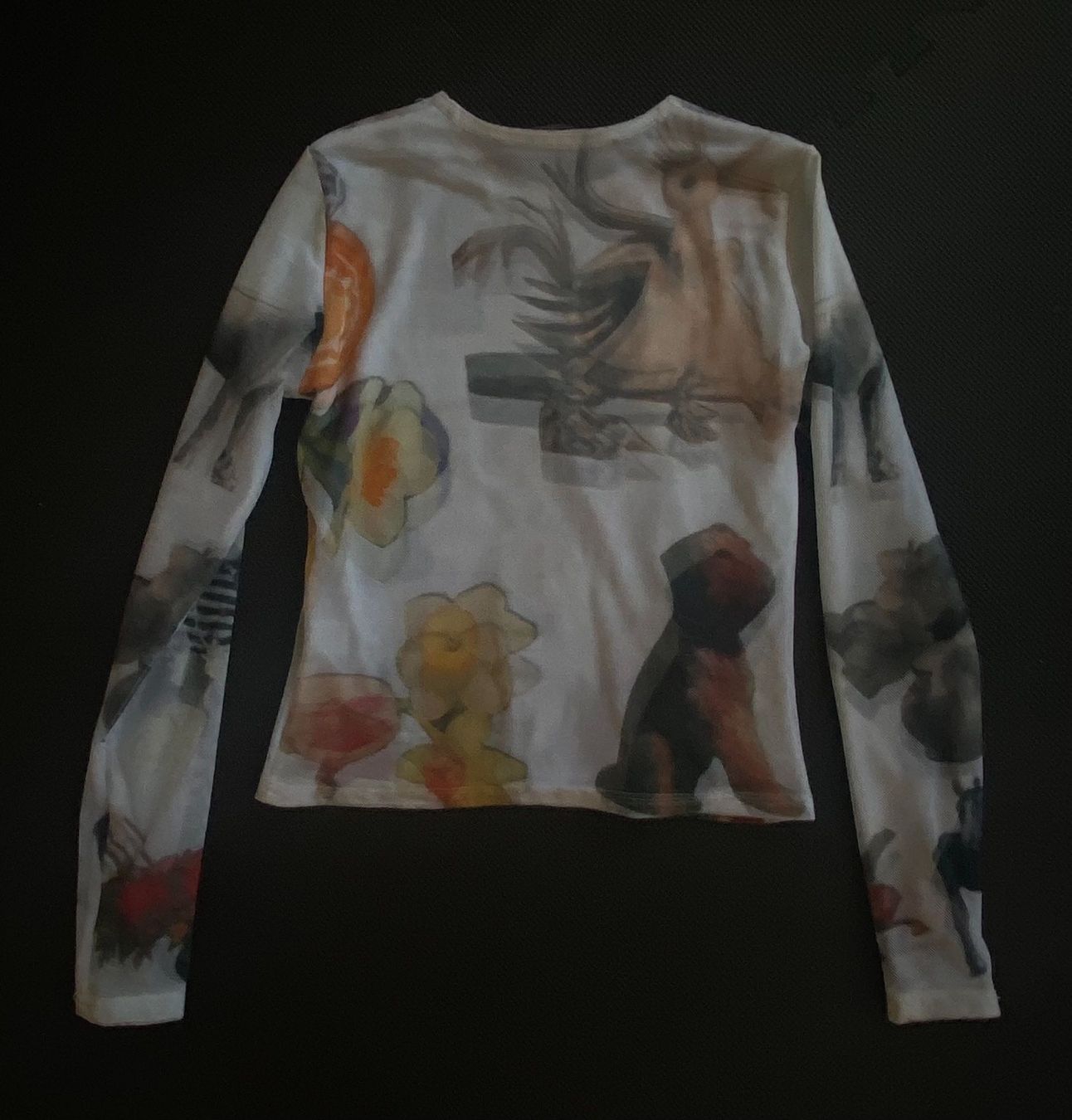 Top: Chopova Lowena sheer longsleeve top, size M – Usato da Zürich venduto da daria_m 6