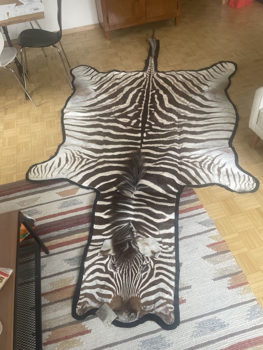 Tutte le decorazioni: Zebra Fell Teppich, auf Filz aufgenäht – Usato da Chur venduto da Pacolino80