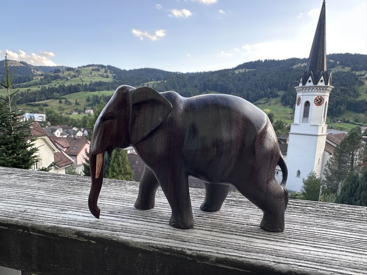 Statuette: Elefant dunkles Holz – Usato da Ebnat-Kappel venduto da ladina83